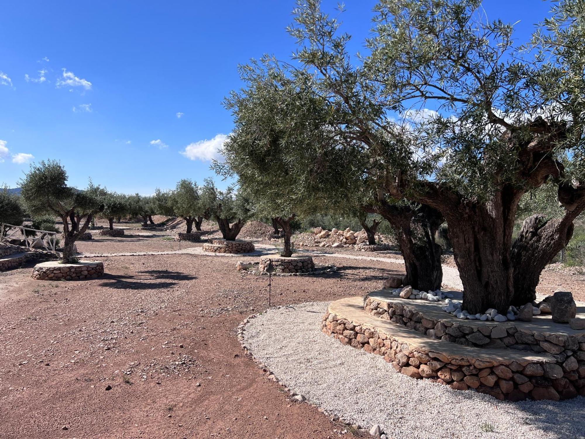 Casa Algezar Villa Hondón de las Nieves Kültér fotó
